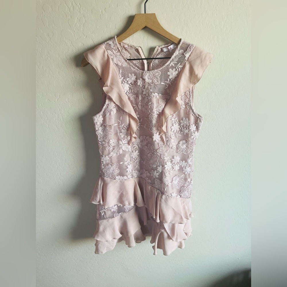 Parker Gabriel Lace Blush Ruffle Mini Dress Sz 10
Coquette Romantic Floral - Picture 3 of 8